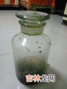 没有开罐器怎么开罐子,没有罐头开罐器怎么打开罐头的四种方法