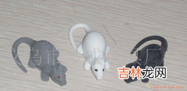 老鼠胶沾在衣服上怎么办,衣服上沾上了粘老鼠的胶,如何去除?