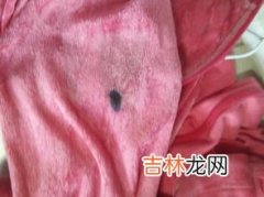 水性笔怎么洗掉,衣服上的水性笔墨水的清洗