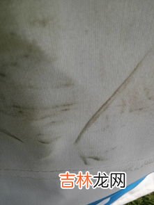 水性笔怎么洗掉,衣服上的水性笔墨水的清洗