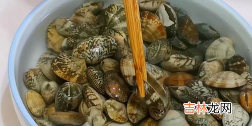 花蛤焯水后能放冰箱吗,花蛤能放在冰箱保存吗？