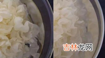 泡发银耳能过夜吗,银耳泡发后可以隔夜存放吗