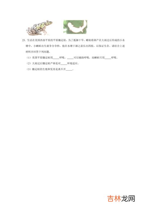 爬行动物的主要特征,爬行动物的主要特征是什么?