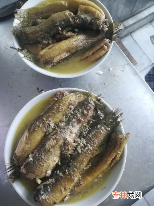 买回家的泥鳅怎么处理,如何处理泥鳅