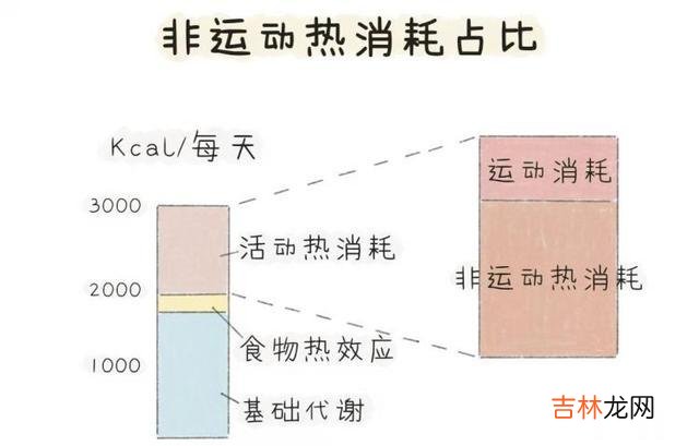 运动减肥 为什么坚持运动却瘦不下来？ 因为这些错误在阻止你进步