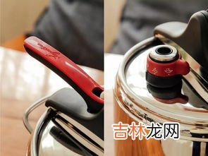 高压锅可以做什么,用高压锅,可以做哪些美食?