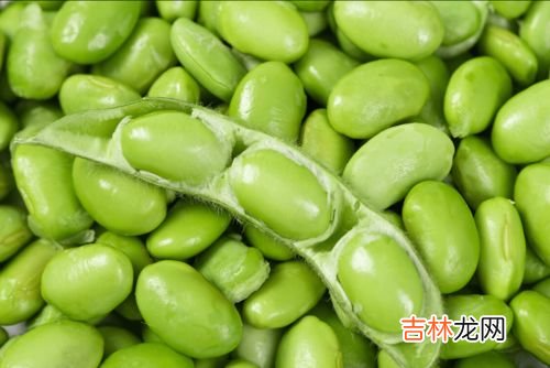 生毛豆可不可以冷冻起来保存,毛豆能冷冻保存吗