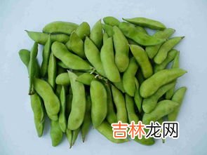 生毛豆可不可以冷冻起来保存,毛豆能冷冻保存吗