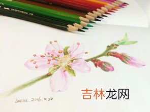 彩笔画到墙上怎么擦掉,彩色笔画墙上怎么去除掉,彩笔画到墙上用什么可以除掉