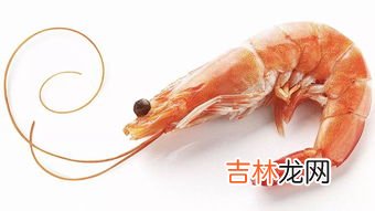 虾是节肢动物吗,虾是属于鱼类还是虫类