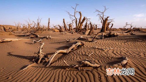 全球荒漠化面积占整个地球陆地面积的多少,世界上沙漠化有多少?
