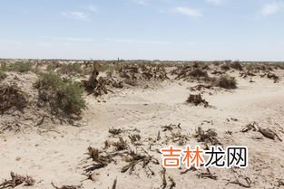 全球荒漠化面积占整个地球陆地面积的多少,世界上沙漠化有多少?