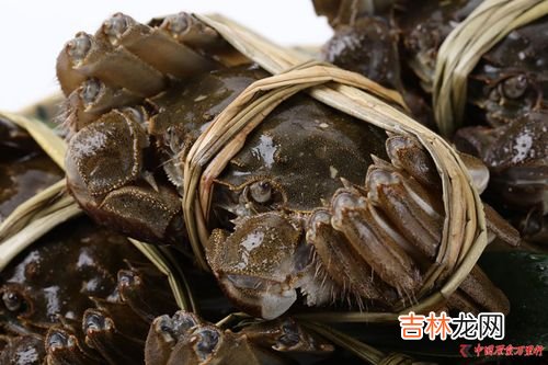 螃蟹养殖需要什么条件,养蟹需要什么条件