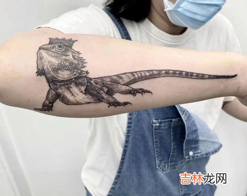 蜥蜴是胎生还是卵生,蜥蜴是胎生还是卵生?