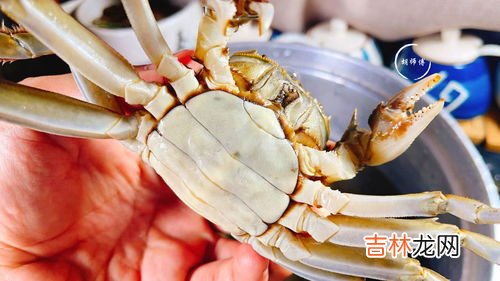 活的青蟹怎么保存方法,活的青蟹怎么保存
