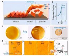 石墨烯作用和功效,石墨烯作用于身体上有什么作用？