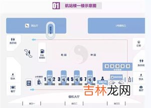 如何获得电子登机牌,山航怎么电子登机牌