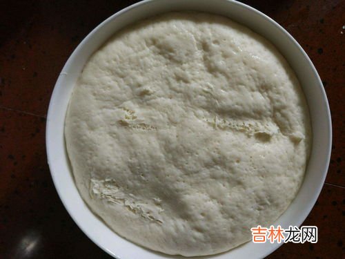 发面不用酵母粉怎么发面,不用酵母怎么发面又松又软 没有酵母怎么发面