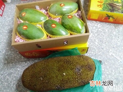 菠萝蜜变质还能吃吗,菠萝蜜变酸了还能吃么？