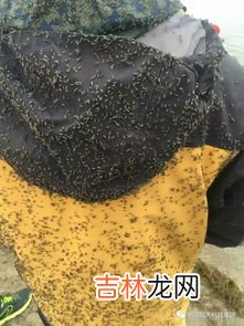 海带泡了一天一夜还能吃吗,海带泡一天一夜有毒吗 海带泡一天一夜是否有毒
