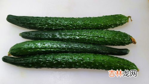 黄瓜能放冰箱冷藏吗,黄瓜能放冰箱冷藏吗 黄瓜可以放冰箱吗