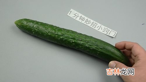 黄瓜能放冰箱冷藏吗,黄瓜能放冰箱冷藏吗 黄瓜可以放冰箱吗