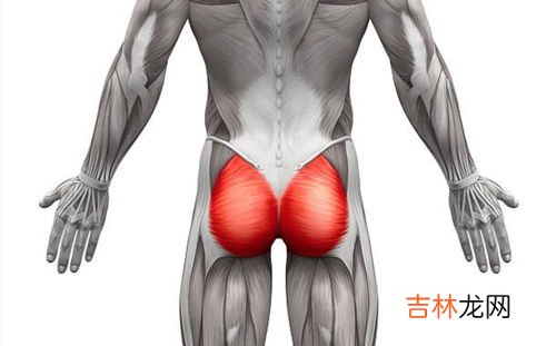 为什么收腹时会肚子疼,收腹扩腹里面疼