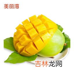 凯特芒果青色的能吃吗 凯特芒果要不要等软了才能吃,凯特芒果青的可以吃吗?