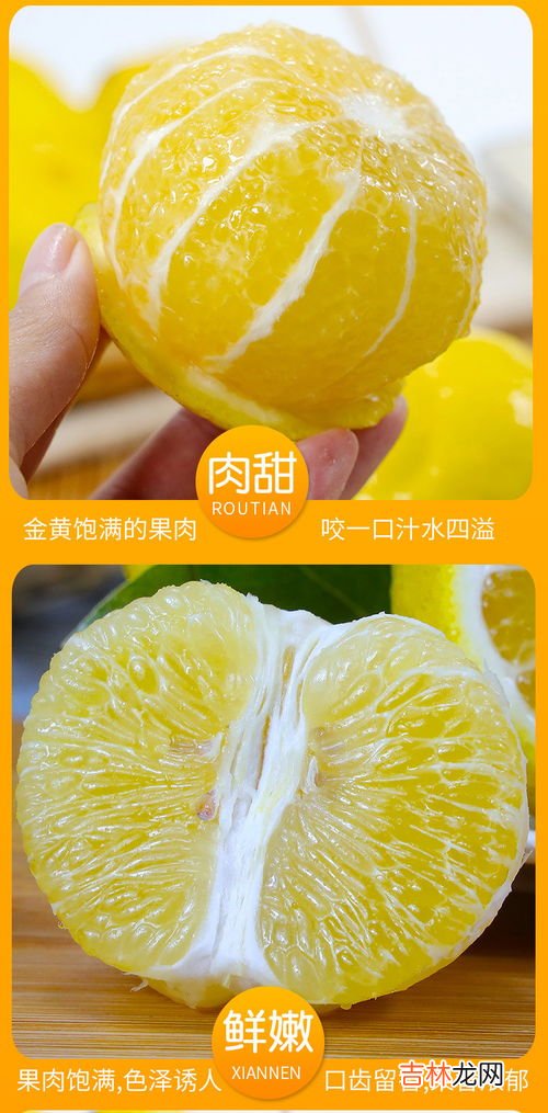 黄金贡柚的功效与作用,黄金贡柚怀孕早期能吃吗