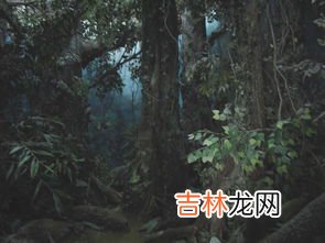 银杏水杉为什么是活化石,银杏树和水杉树为什么是活化石