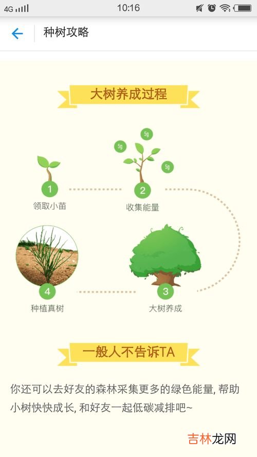 蚂蚁森林能量克数分别代表什么,蚂蚁森林能量克数分别代表什么?