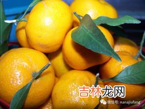 橘子怎么保存的时间长,桔子用什么方法保存能放时间长