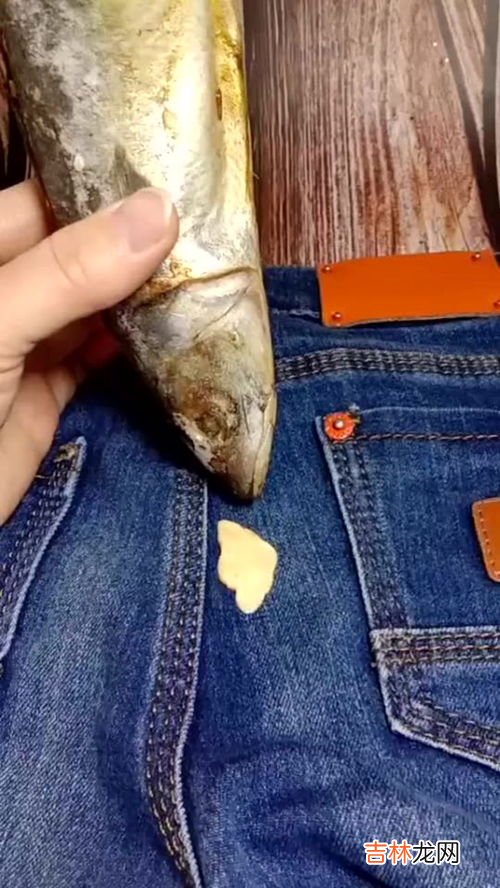 泡泡糖粘在衣服上怎么去掉,衣服上的口香糖怎么去掉?