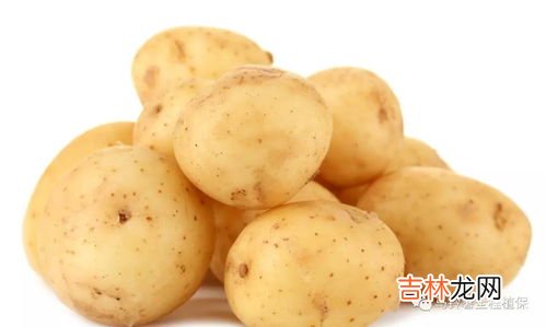 土豆是什么季节成熟,土豆是什么季节成熟？