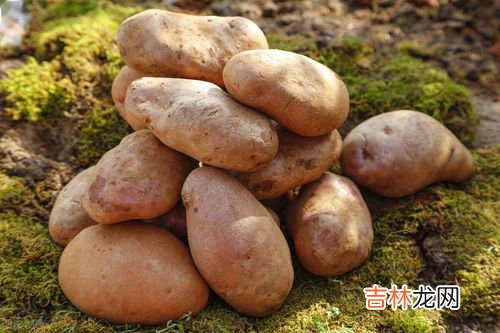 土豆是什么季节成熟,土豆是什么季节成熟？
