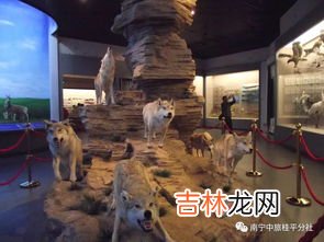 蒙古族的祖先是谁,蒙古人的祖先到底是谁？