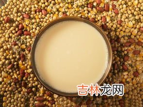 豆浆怎么煮才好喝 豆浆怎么煮,豆浆怎么煮才算熟