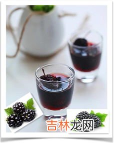 桑葚的作用和功效用法,桑葚的功效与怎么食用 让我们了解一下!