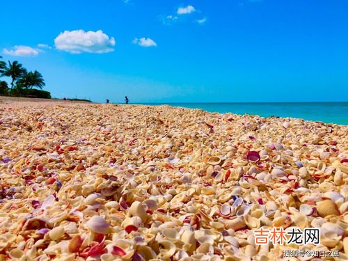海水盐度一般是多少,海水的含盐度是多少?