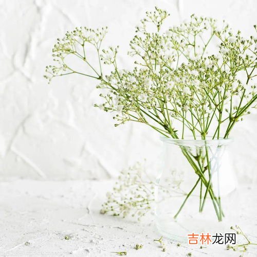 七夕可以送满天星吗,怎么彻底关闭XPSP2的防火墙