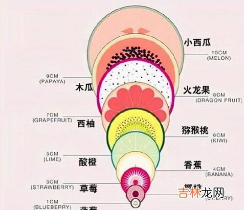 4开多大,4开纸尺寸是多少厘米?