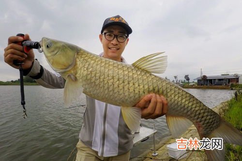 鲈鱼用什么饵料钓最容易上钩,鲈鱼用什么假饵钓最好，用什么真饵最好