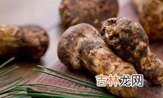 松茸为什么不能水洗,松茸鲜的晒时用不用先冼？