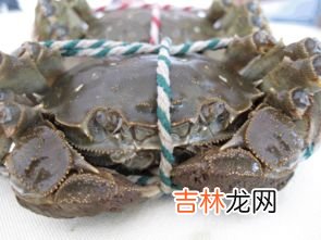 鲜活大闸蟹怎么保存,如何保存新鲜的大闸蟹