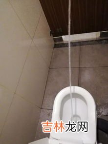 被子有尿迹怎么去除,被子有尿迹怎么去除 怎么去除被子尿迹