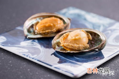 活鲍鱼怎么保存,鲍鱼怎么保存最新鲜