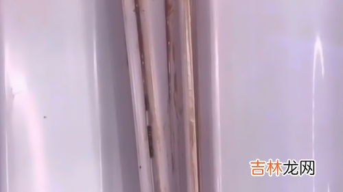 冰箱胶条发霉怎么清洗,冰箱胶条发霉怎么清洗
