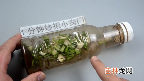 香葱怎么保存新鲜不烂,葱花怎么保存新鲜不烂