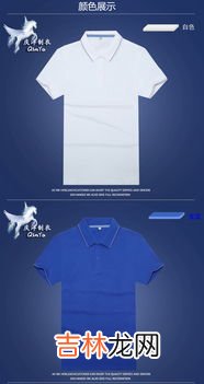 纯t是什么意思,纯T和T有什么区别?