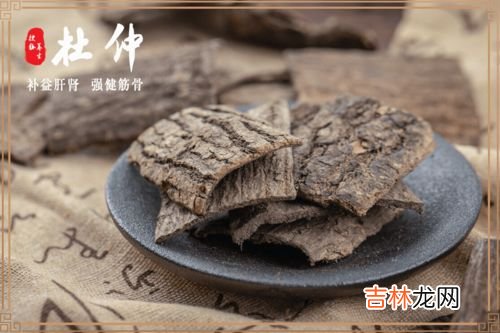 炒杜仲与生杜仲的区别,杜仲的生熟有什么区别